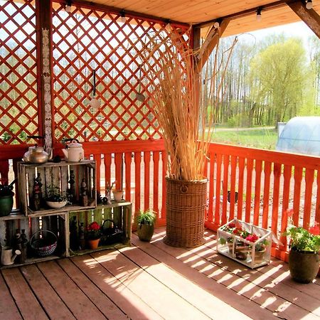 Losiowate Gospodarstwo Agroturystyczne Rybaki  Exterior foto